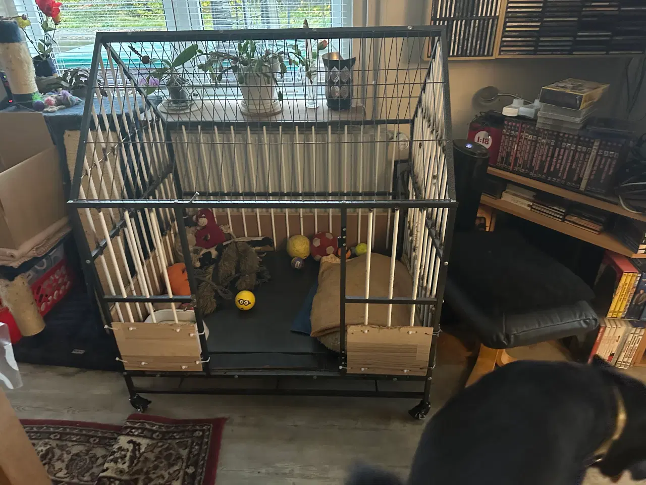 Billede 2 - Hundehus til inde i huset