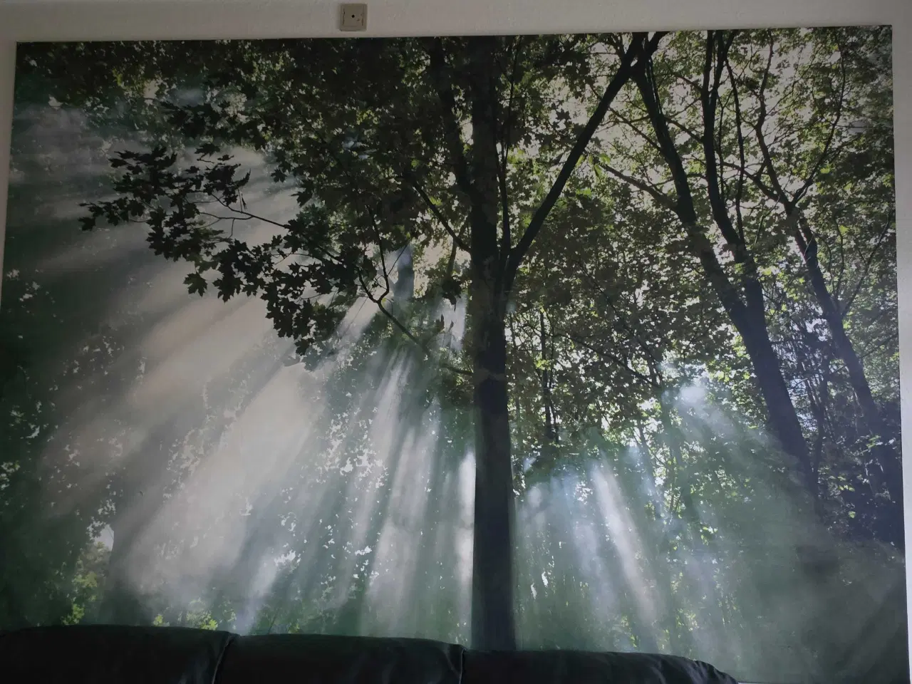 Billede 1 - Rigtig flot Billed på Lærred