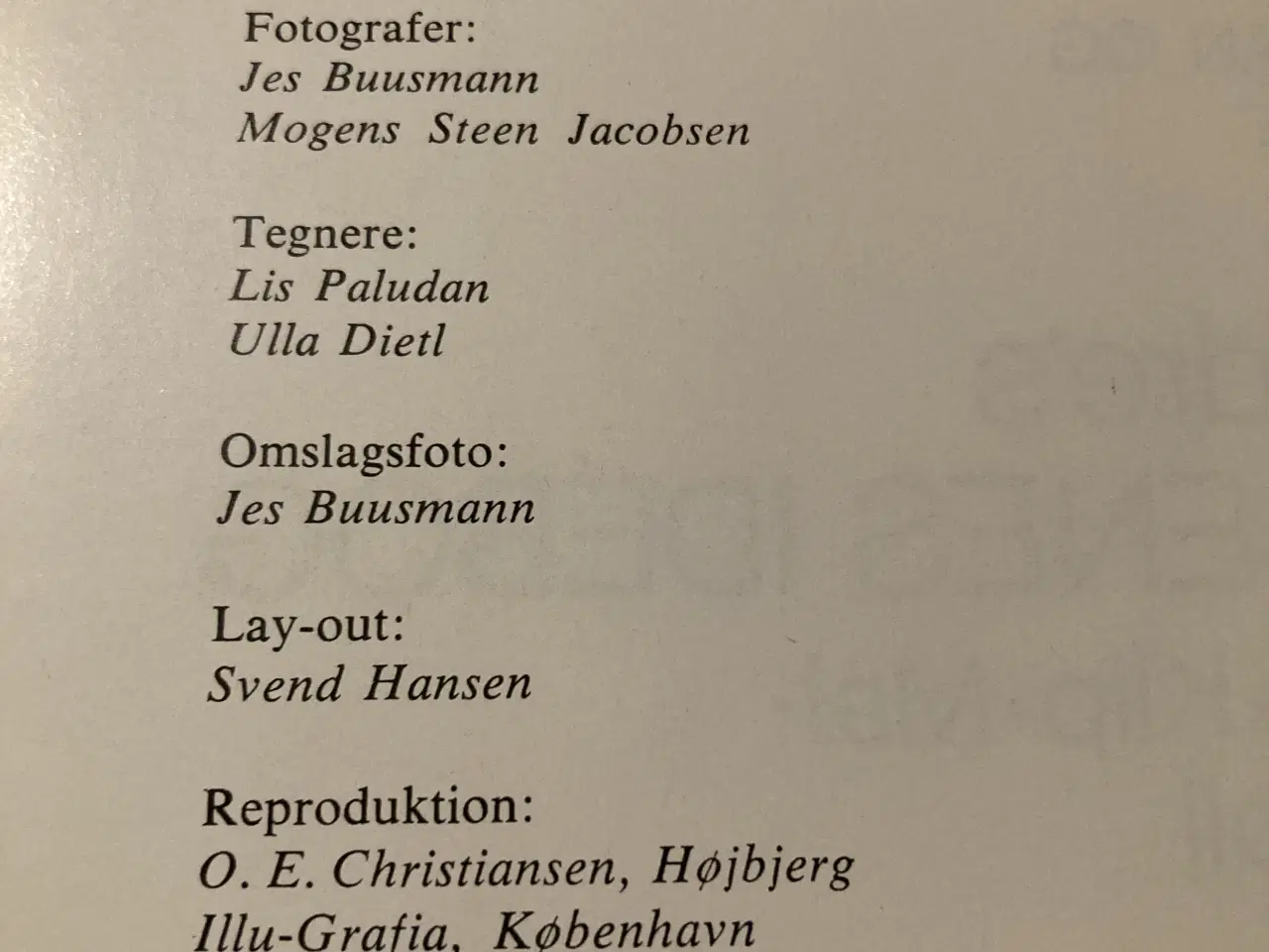 Billede 2 - Børnenes idebog