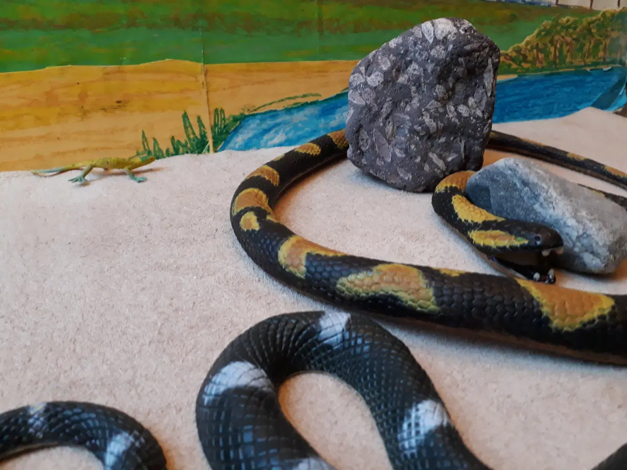 Billede 5 - 2 Slanger med krybdyr