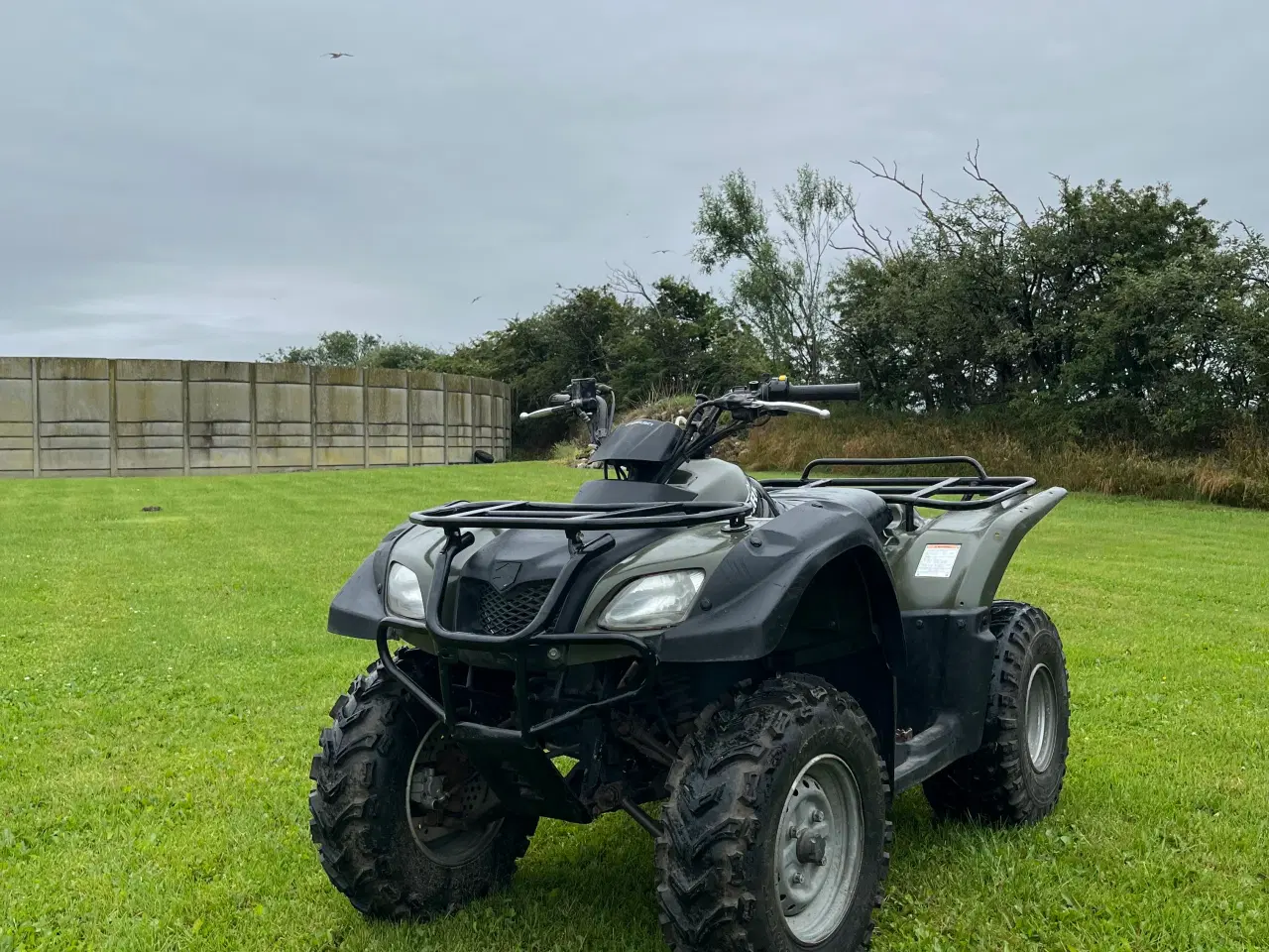 Billede 1 - Suzuki ozark 250 