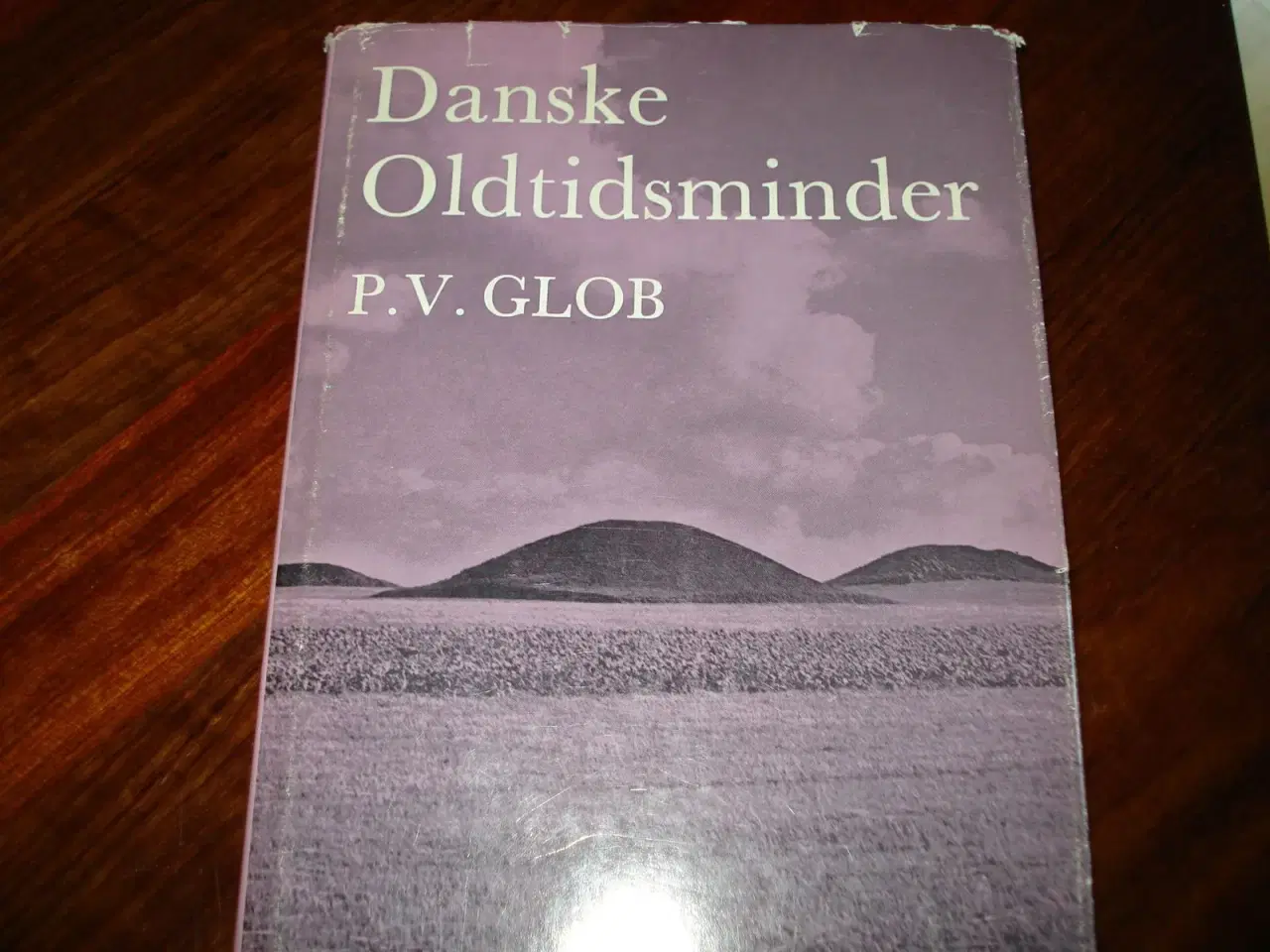 Billede 1 - Danske Oldtidsminder