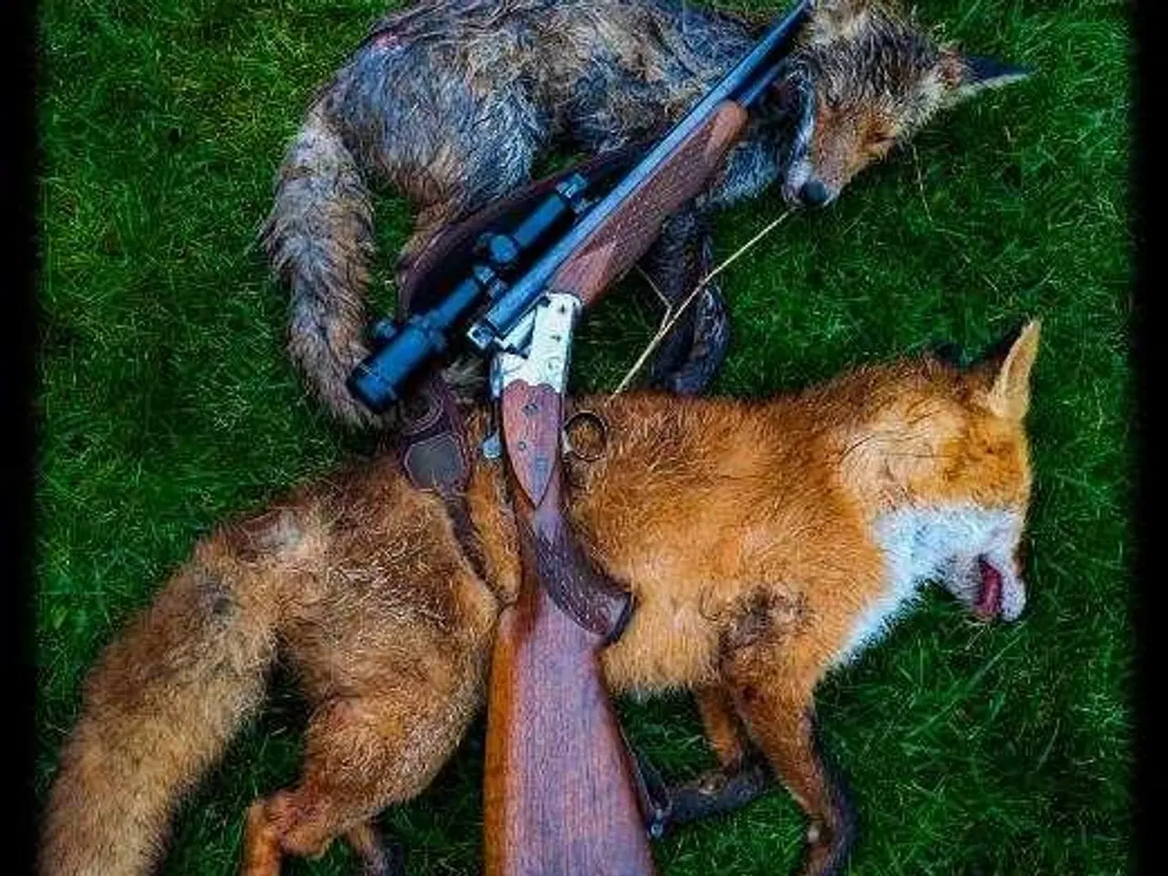 Billede 4 - Drilling ~ Heym Lux