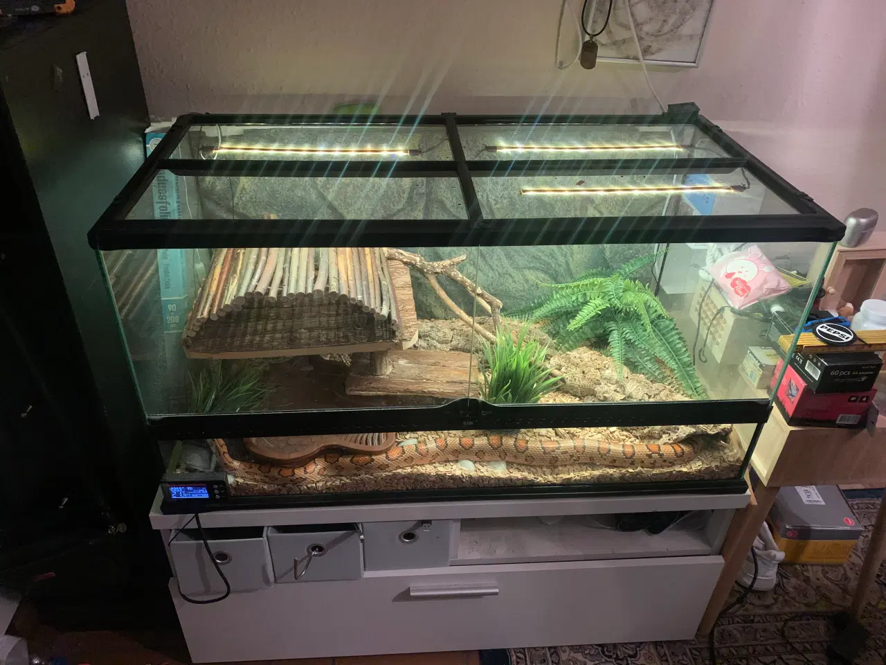 Billede 1 - Kornsnog sælges er 3 år til marts d