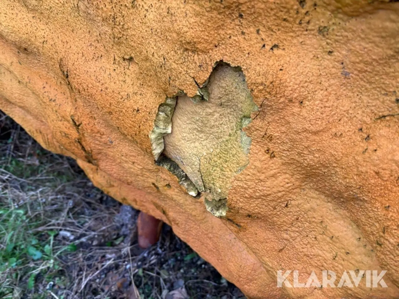 Billede 4 - Akkumuleringstank