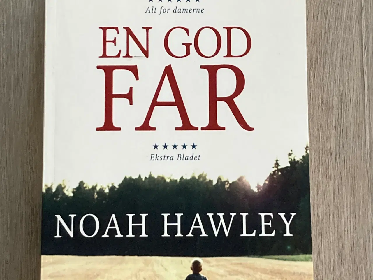 Billede 1 - Bog: En god far af Noah Hawley