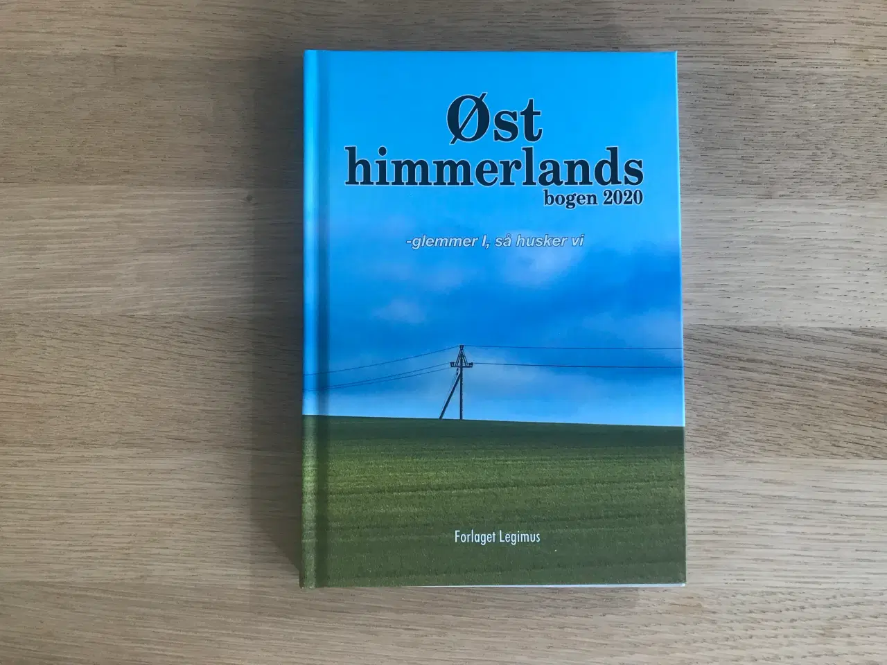 Billede 1 - Østhimmerlandsbogen 2020 - glemmer I, så husker vi