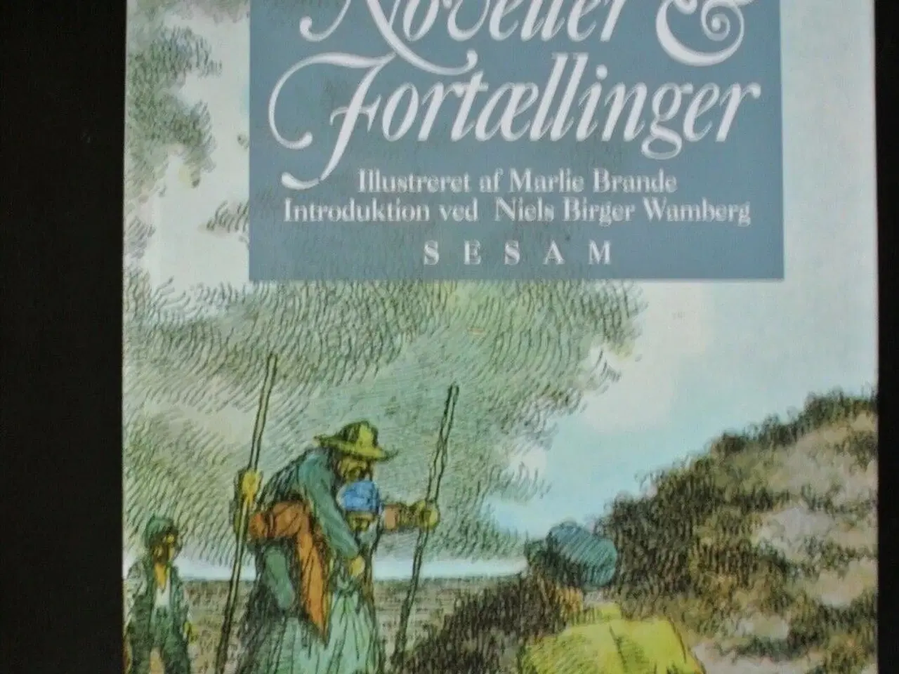 Billede 1 - noveller og fortællinger, af steen steensen bliche