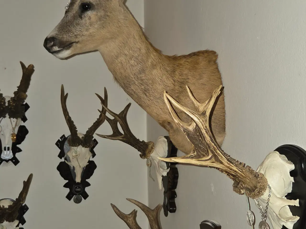 Billede 2 - Bukkeopsats. Skulder monteret sommerbuk 