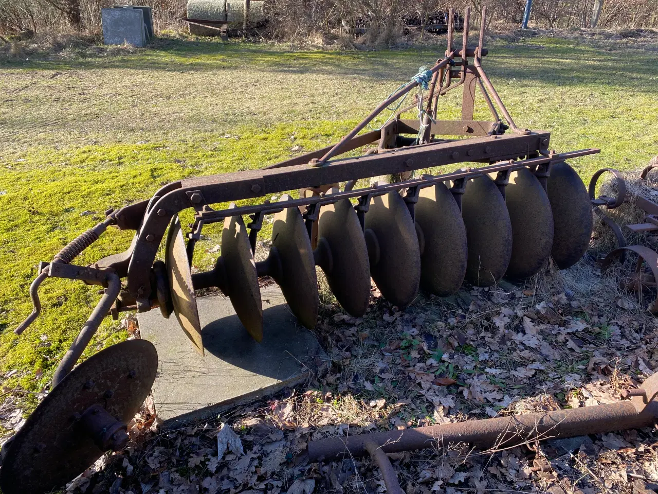 Billede 2 - Ih tallerken plov