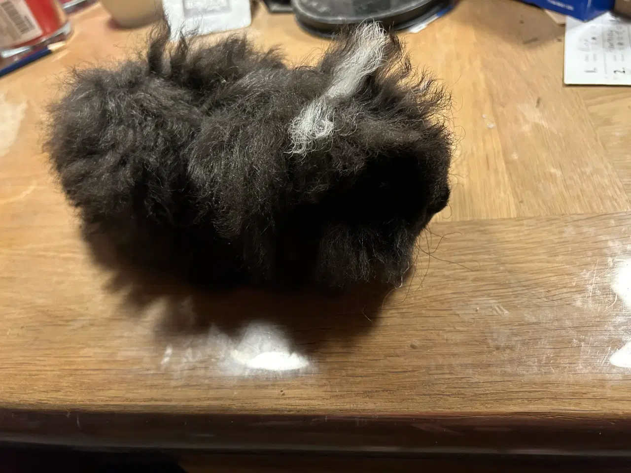 Billede 1 - Han marsvin alpaca ( langhåret)