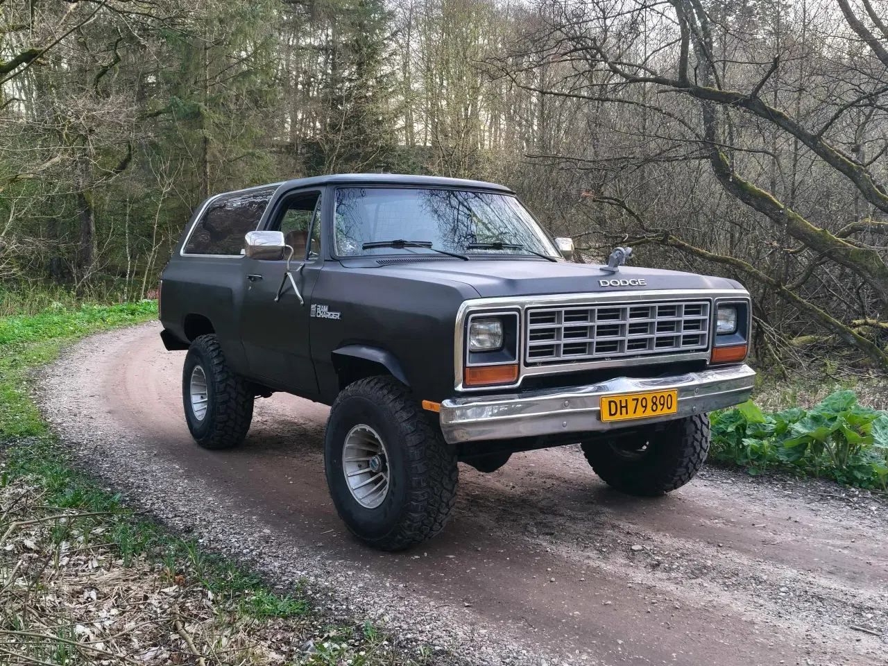 Billede 2 - Dodge Ramcharger 