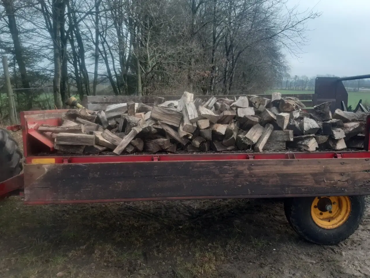 Billede 1 - Brænde Løvtræ 