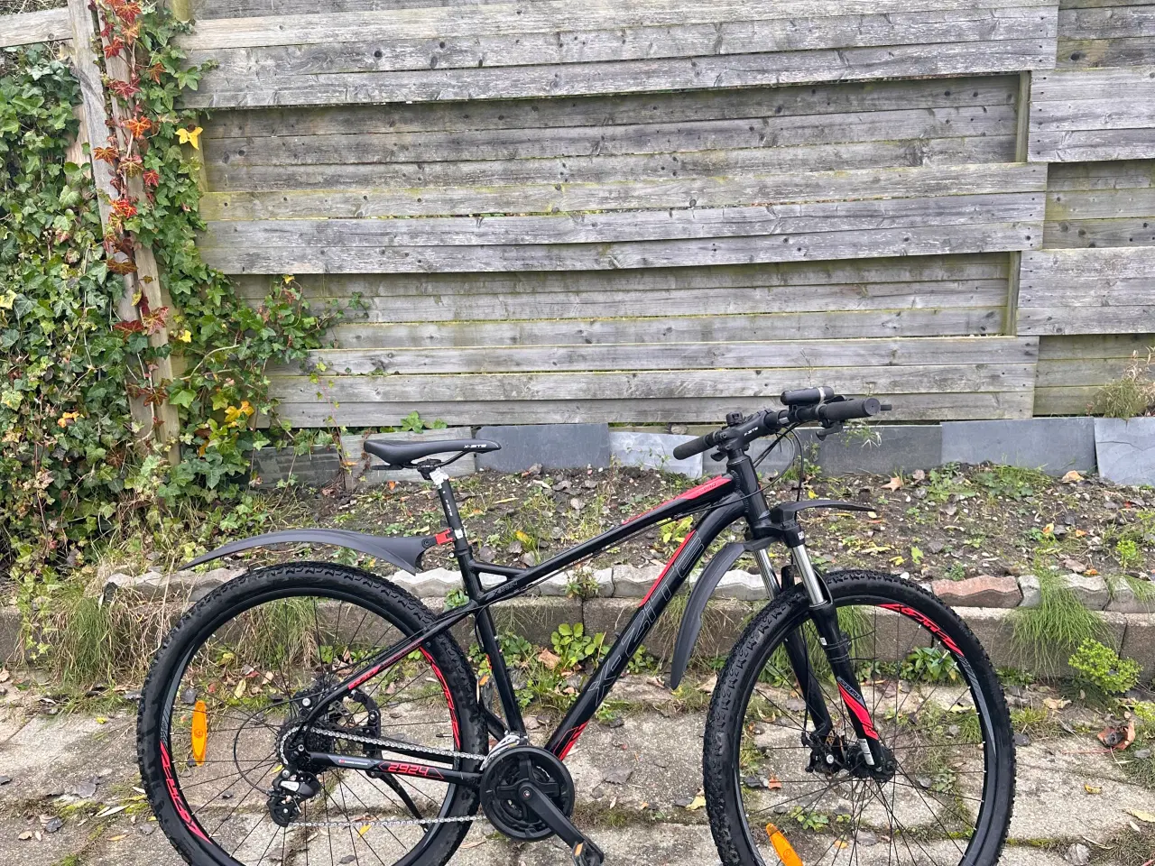 Billede 2 - Mountainbike 2924 29" 24-gear sort/rød 48cm👌