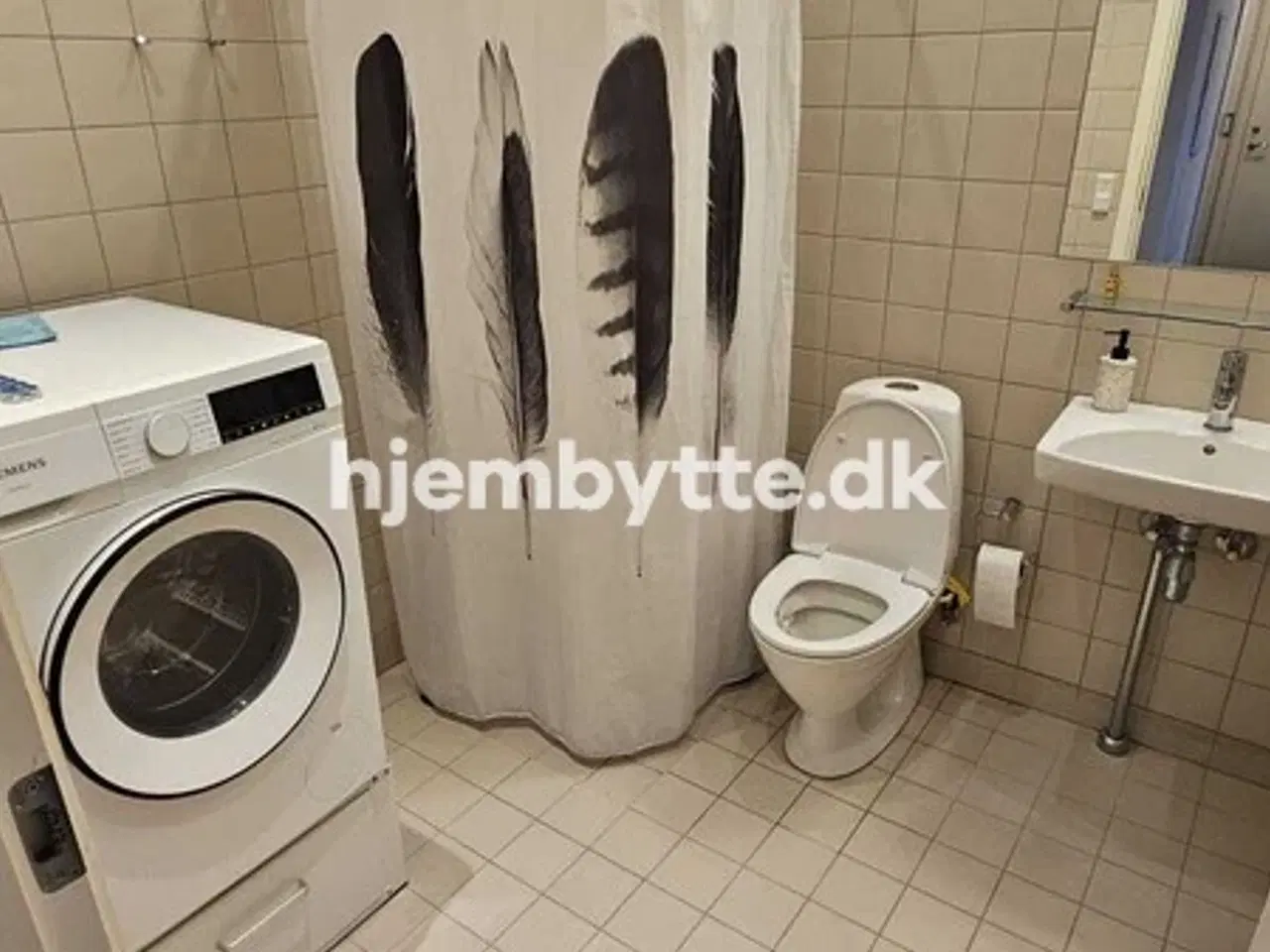 Billede 4 - Hjembytte - Voldfløjen