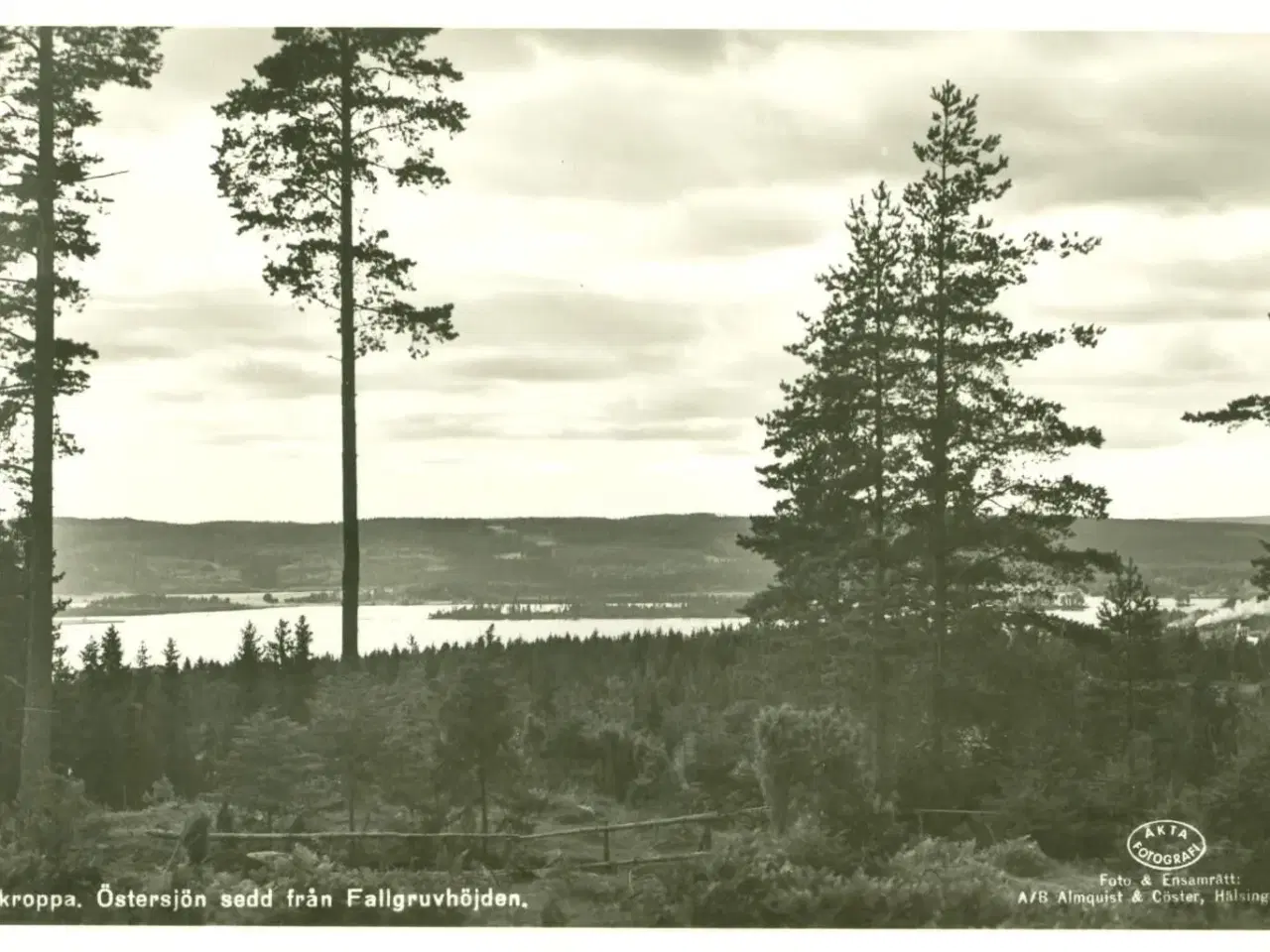 Billede 7 - Nykroppa, Sverige