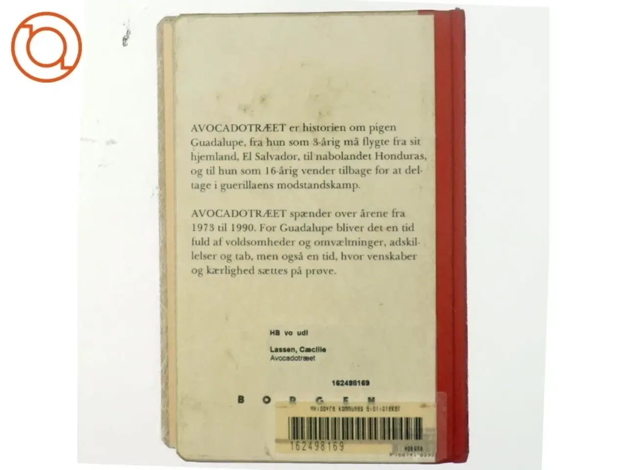 Billede 3 - Cæcilie Lassen, Avocadotræet