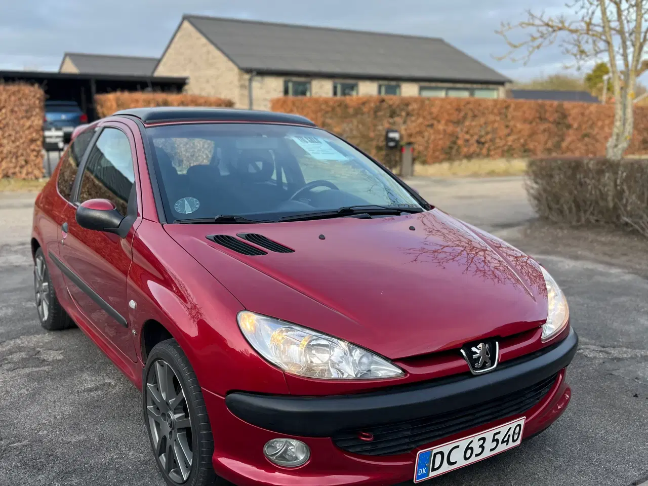 Billede 1 - Peugeot 206