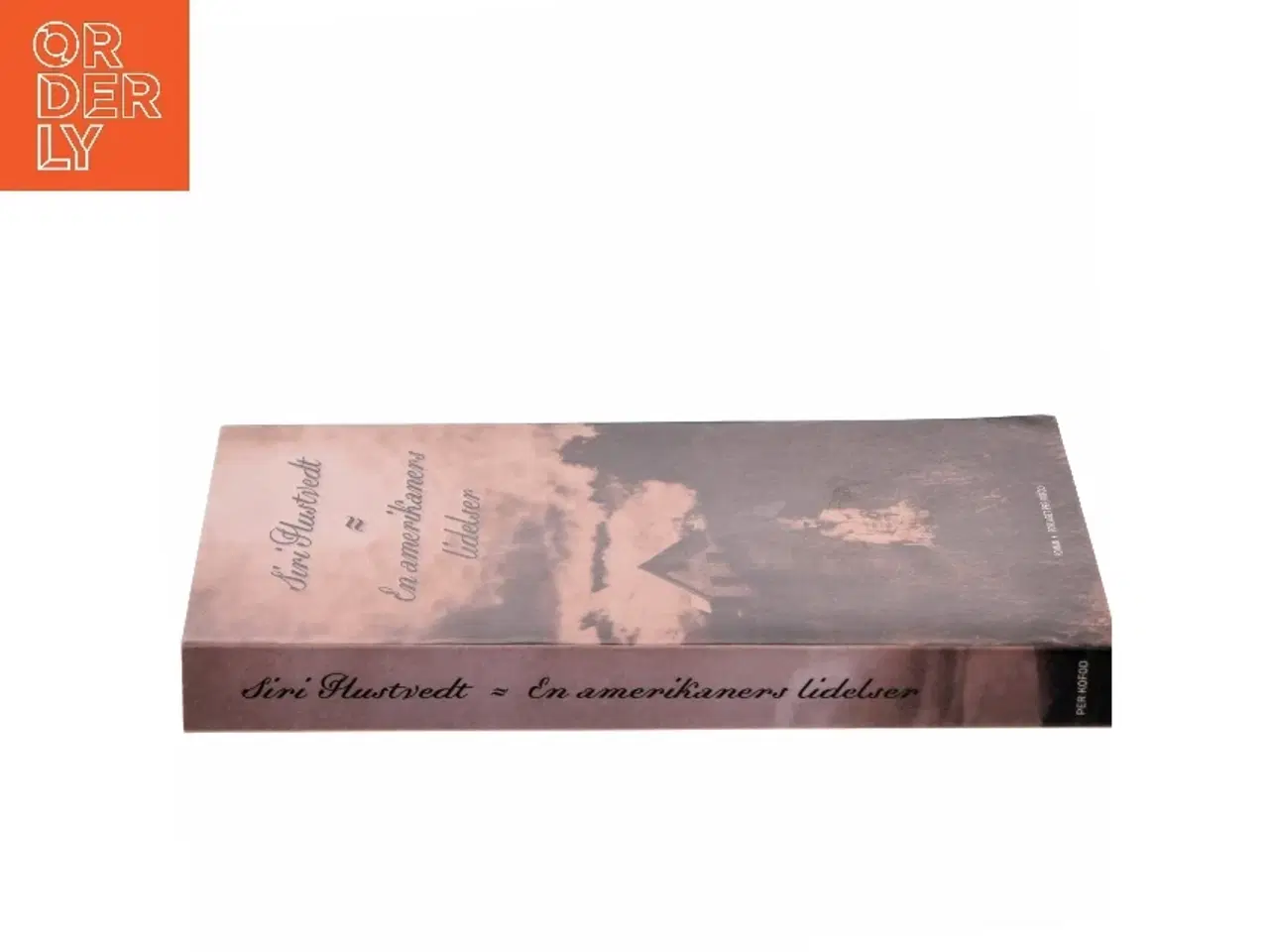 Billede 2 - En amerikaners lidelser : roman af Siri Hustvedt (Bog)