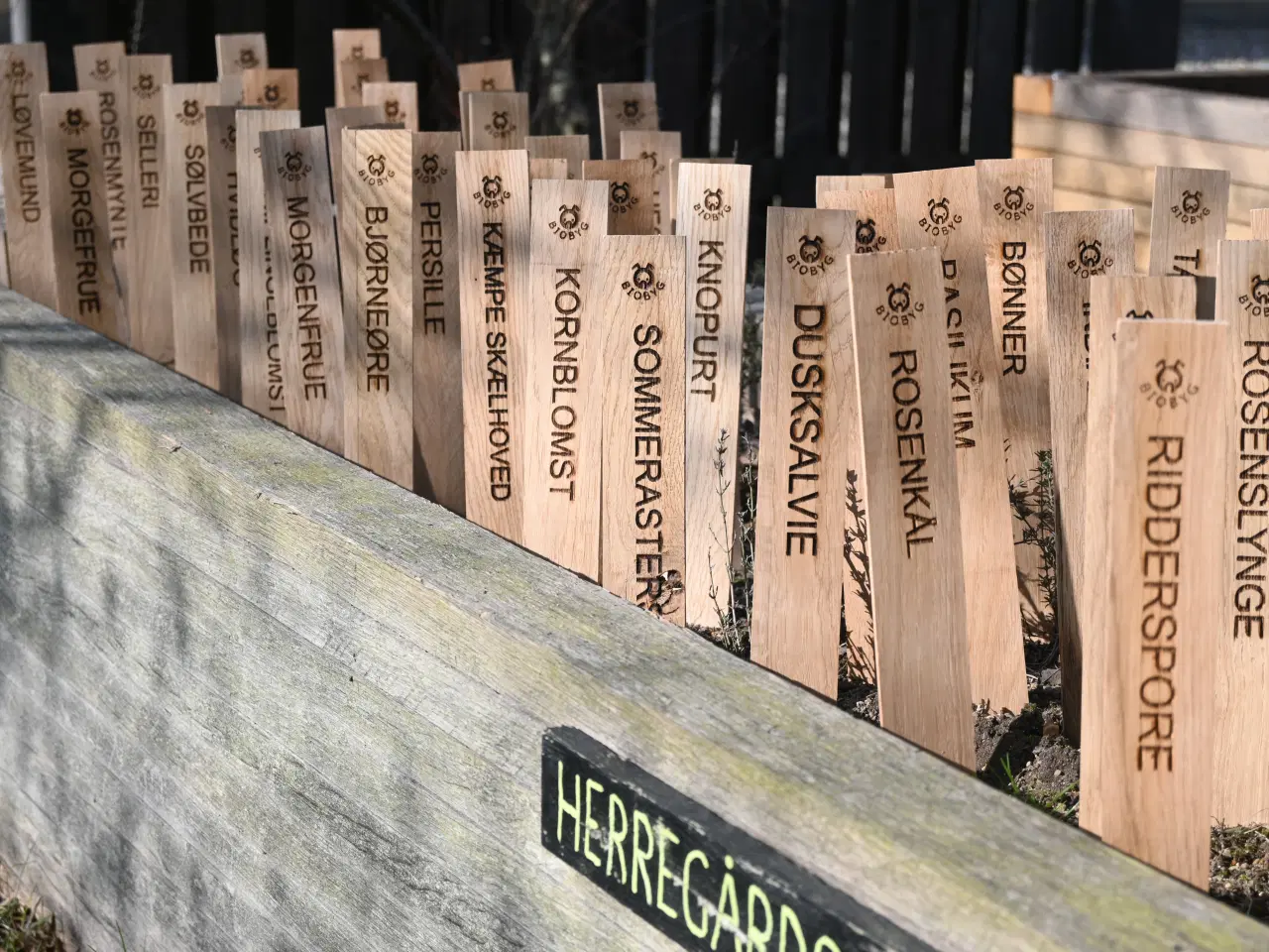 Billede 1 - Planteskilt - alle navne