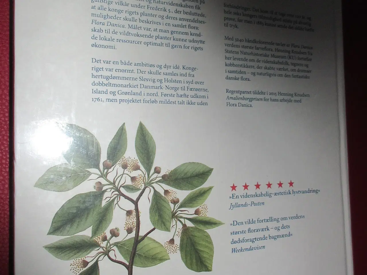 Billede 5 - Bogen Flora Danica af Henning Knudsen