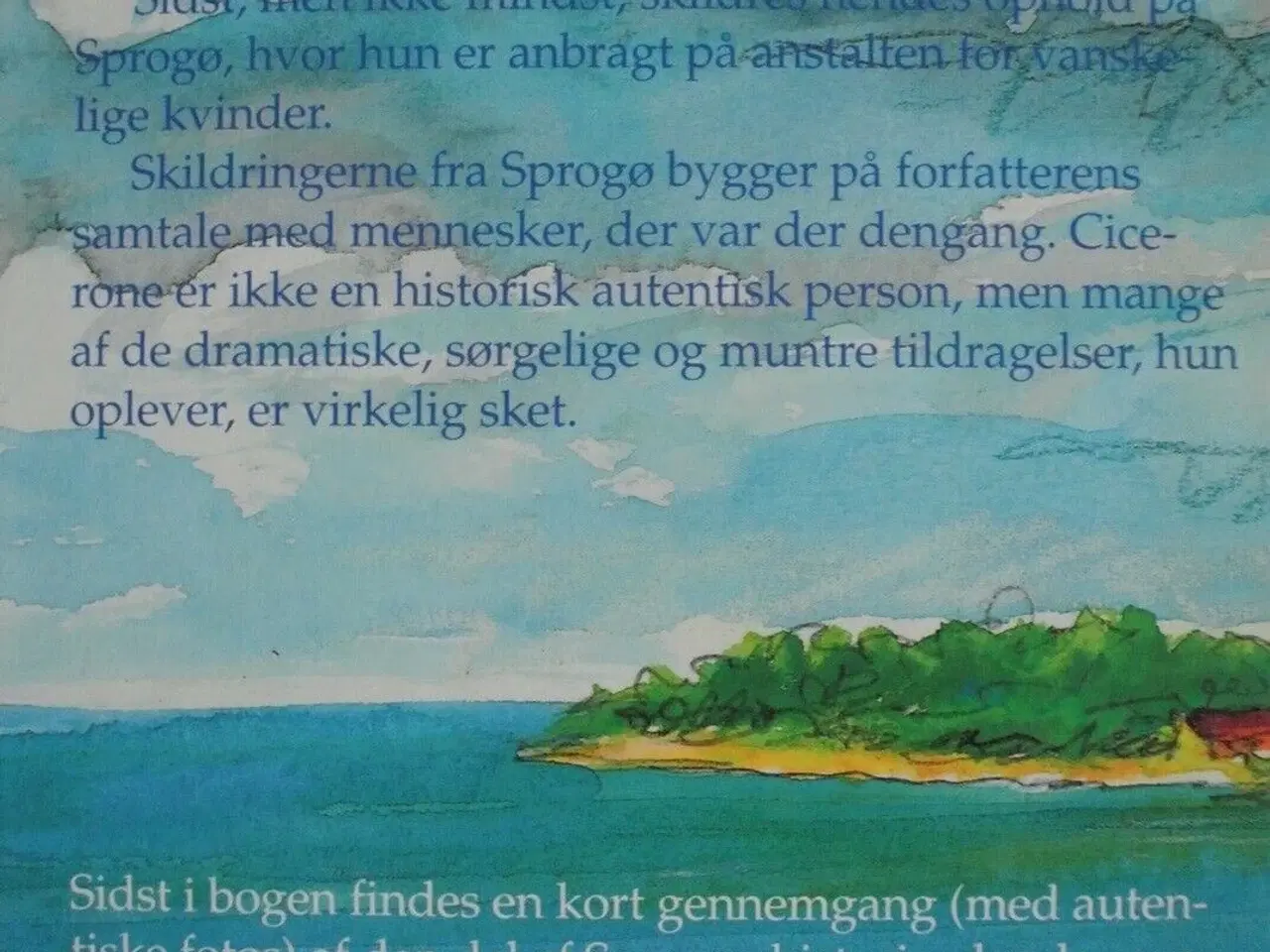 Billede 3 - cicerone - en pige på sprogø, af andreas p. nielse