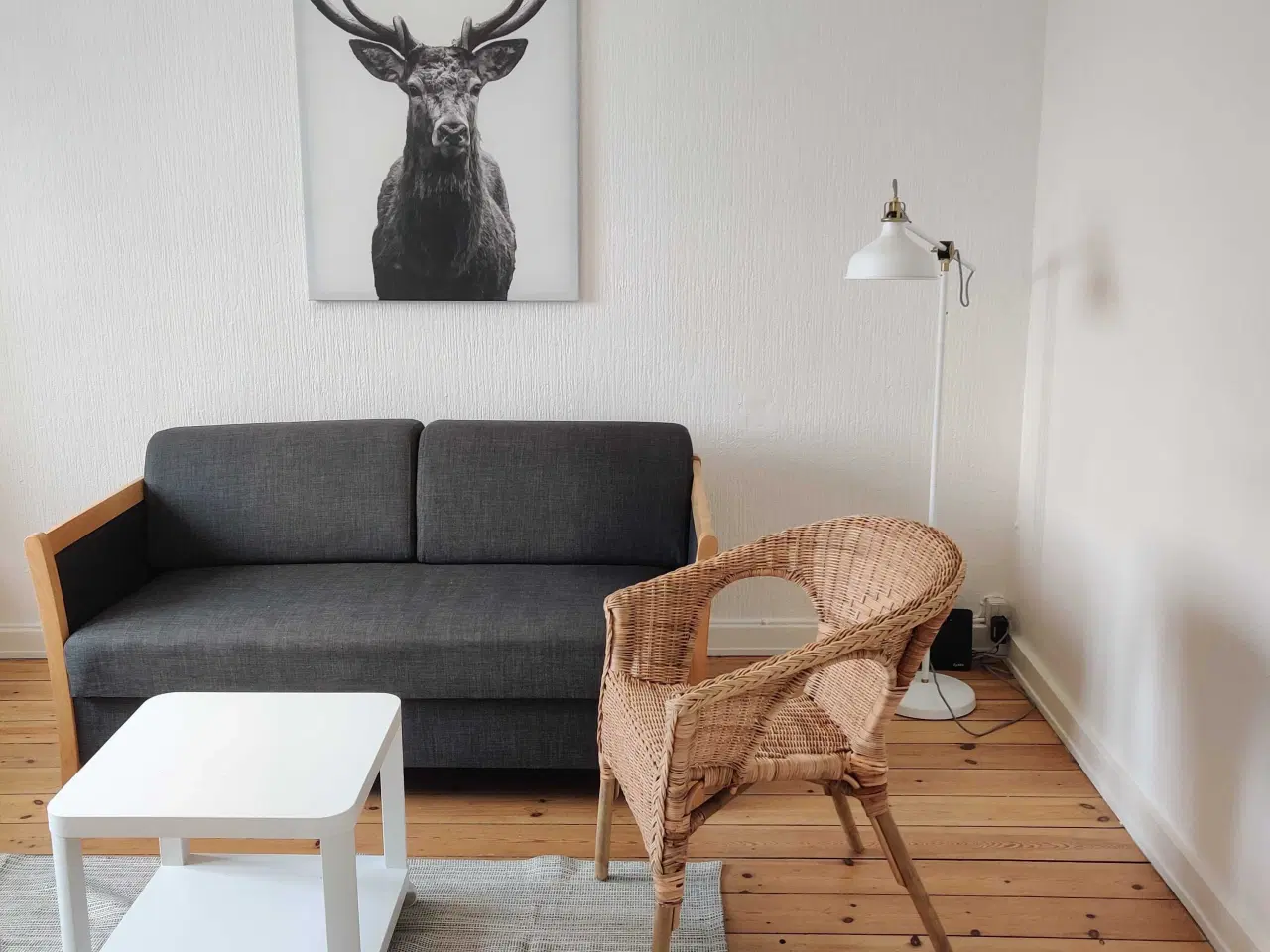 Billede 4 - Lille et v med køkken og bad