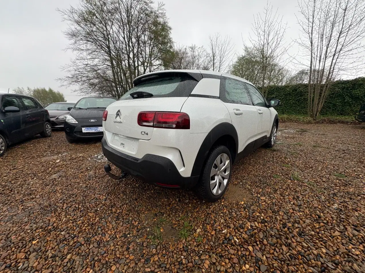Billede 5 - Citroën C4 Cactus 1,2 PureTech 130 Iconic