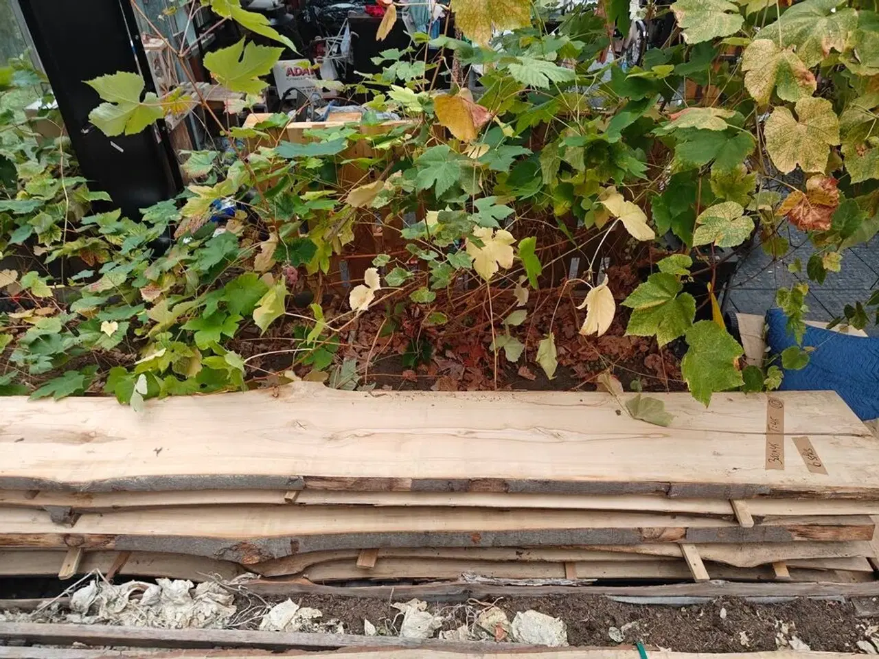 Billede 5 - 6 stk. Bøgetræsplanker str. 300 x 45 x 4,5
