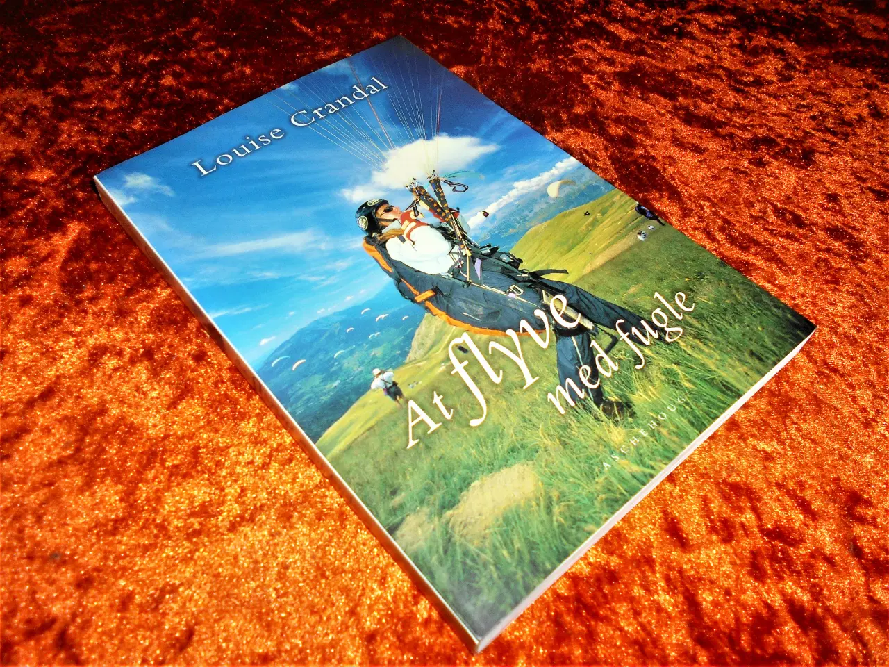 Billede 1 - At flyve med fugle, Louise Crandal,