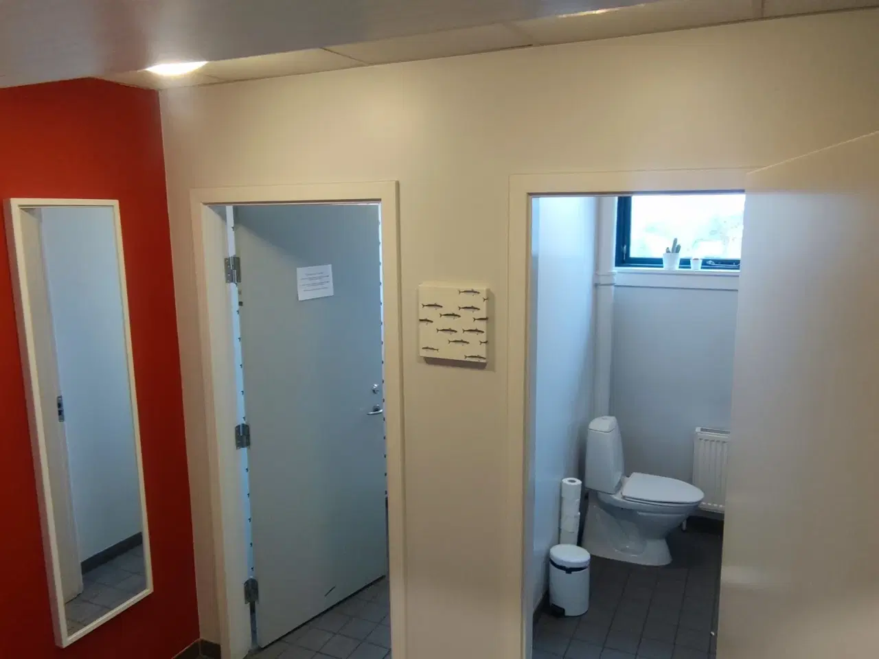 Billede 9 - Kontorlokaler udlejes.