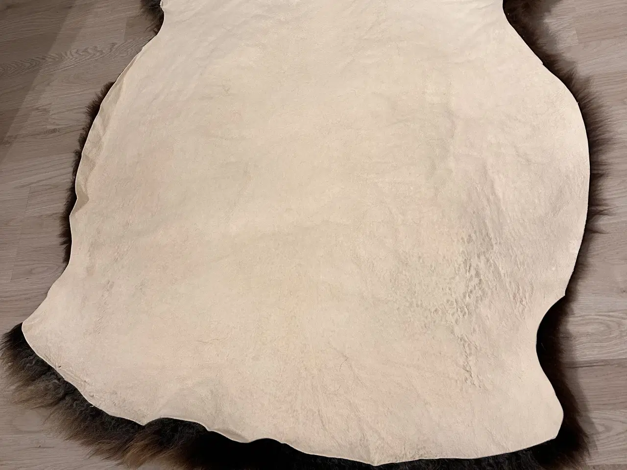 Billede 4 - Lammeskind 