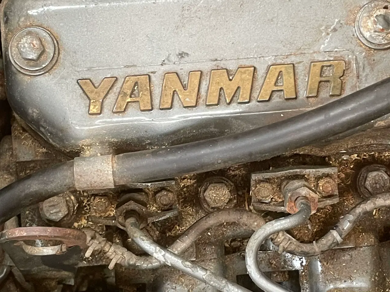 Billede 15 - Motorbåd 