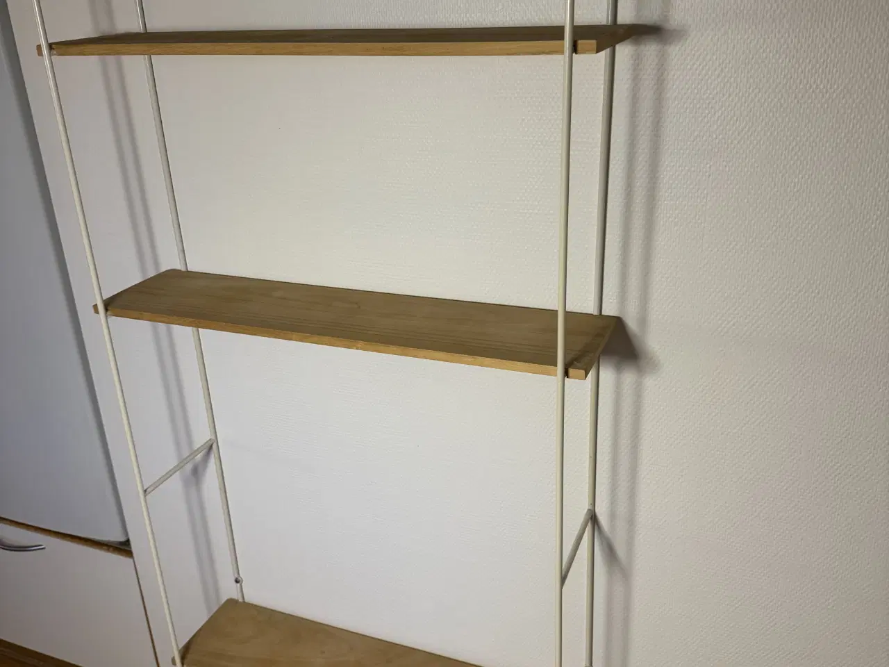 Billede 2 - Stringreol