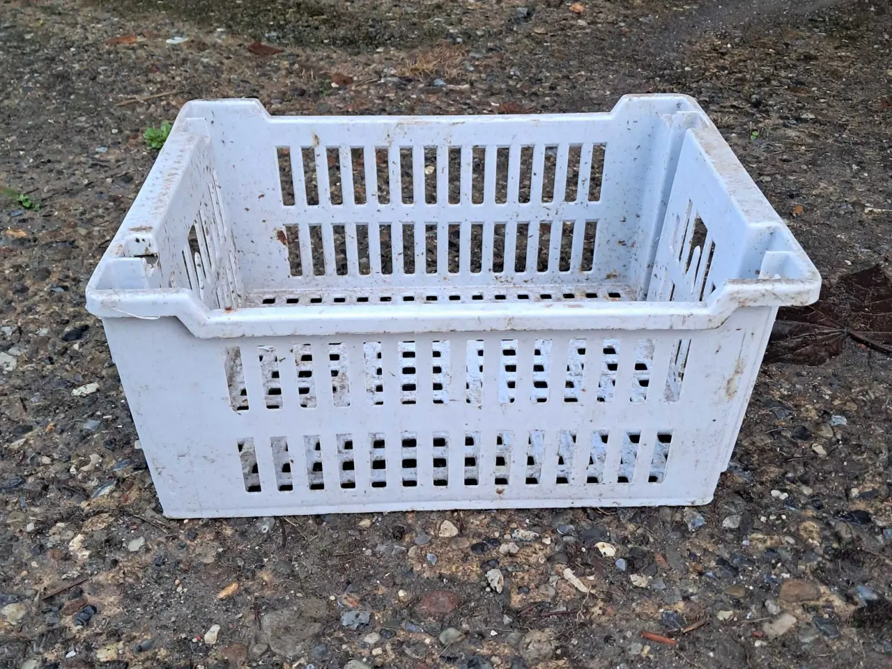 Billede 1 - Opbevarings kasser har 30 stk.