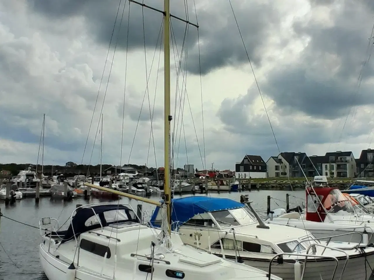 Billede 2 - Albin Vega