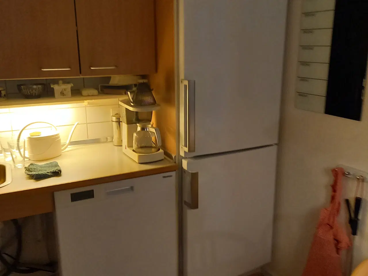 Billede 1 - Køle/fryse skab