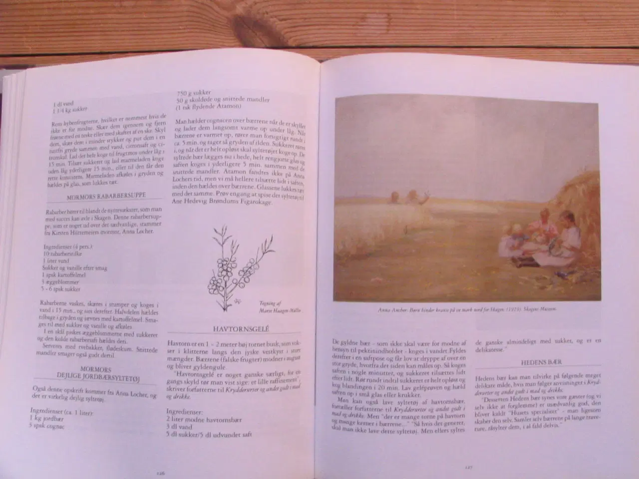 Billede 6 - Til bords med Skagensmalerne