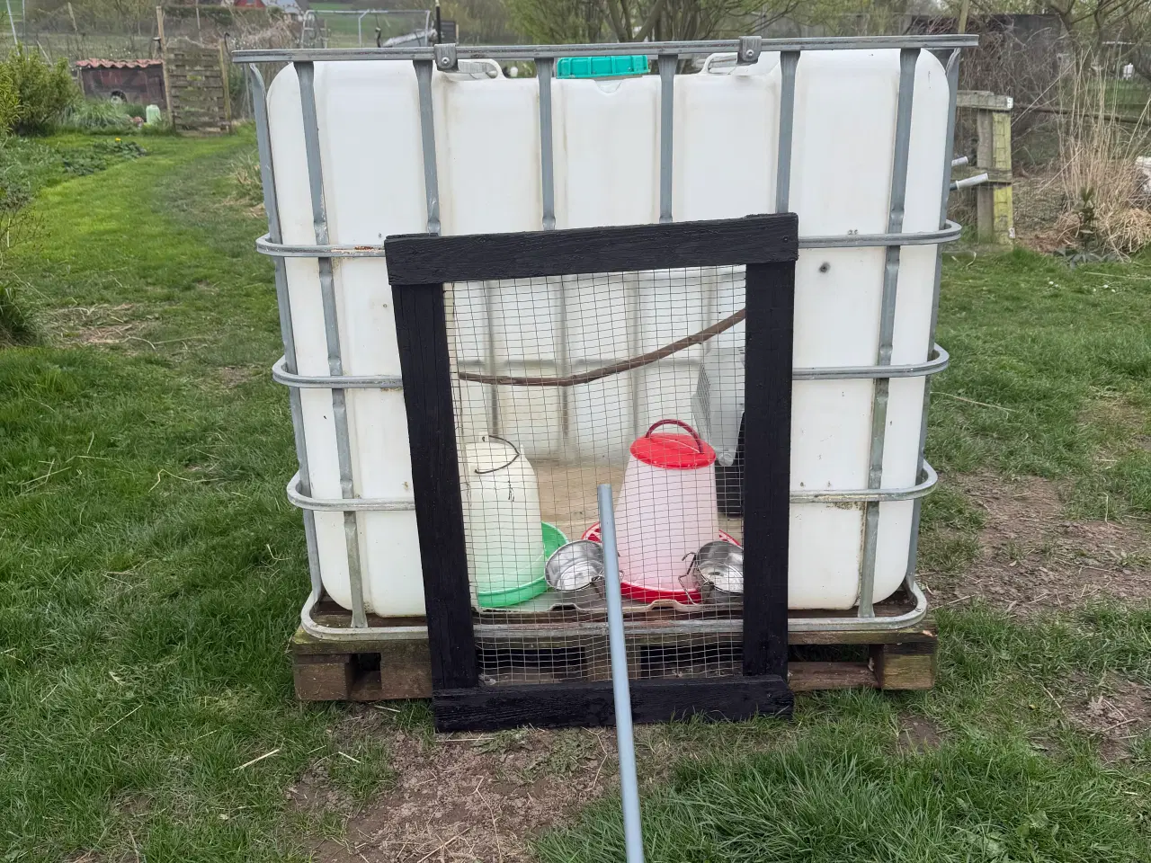 Billede 1 - Hønsehus af IBC Tank