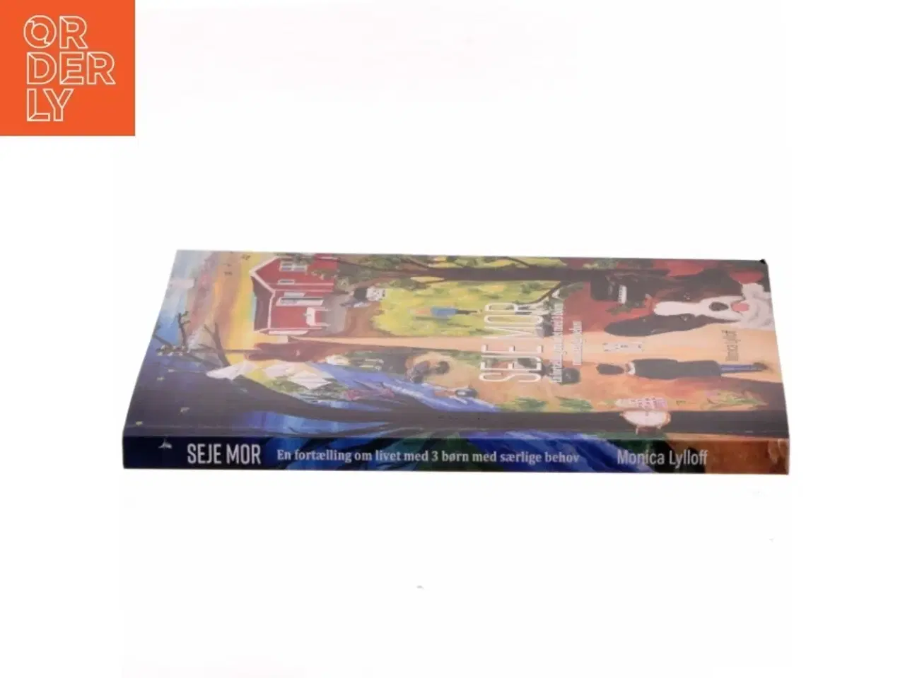 Billede 2 - Seje mor : en fortælling om livet med 3 børn med særlige behov af Monica Lylloff (f. 1978) (Bog)