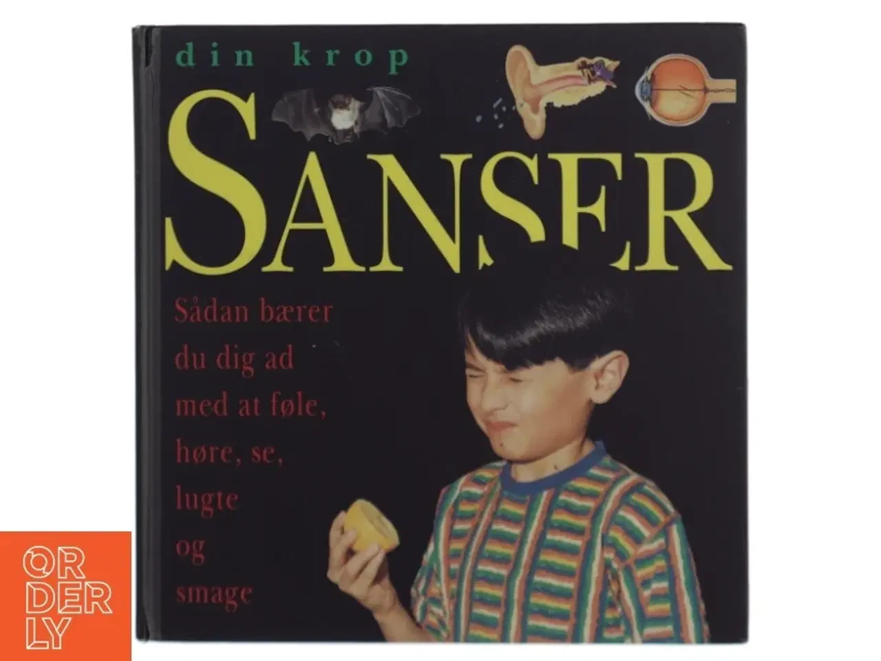 Billede 1 - Sanser - Din krop af Anna Sandeman (Bog) fra Forlaget Flachs