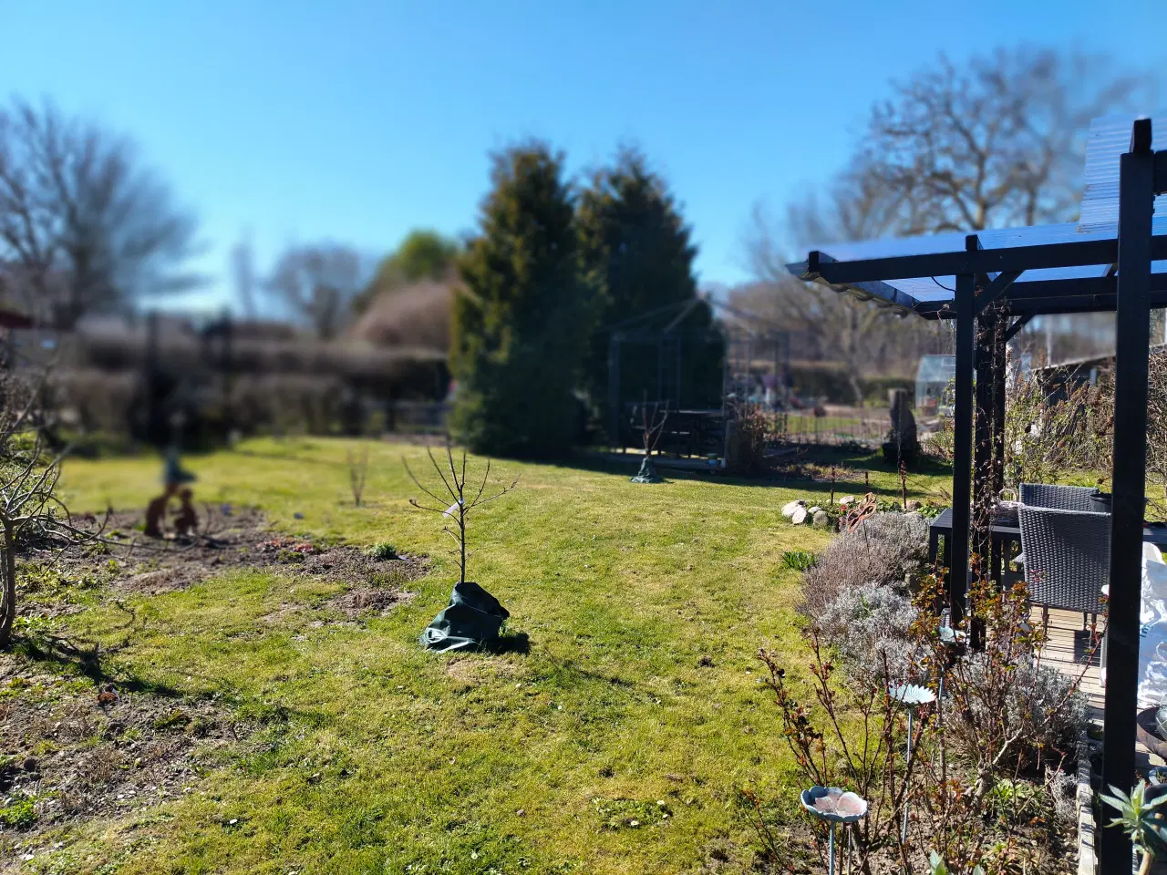 Billede 5 - Dejlig kolonihave