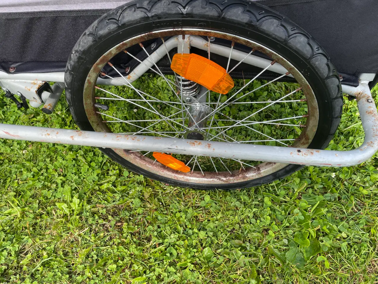 Billede 4 - Cykeltrailer til hund