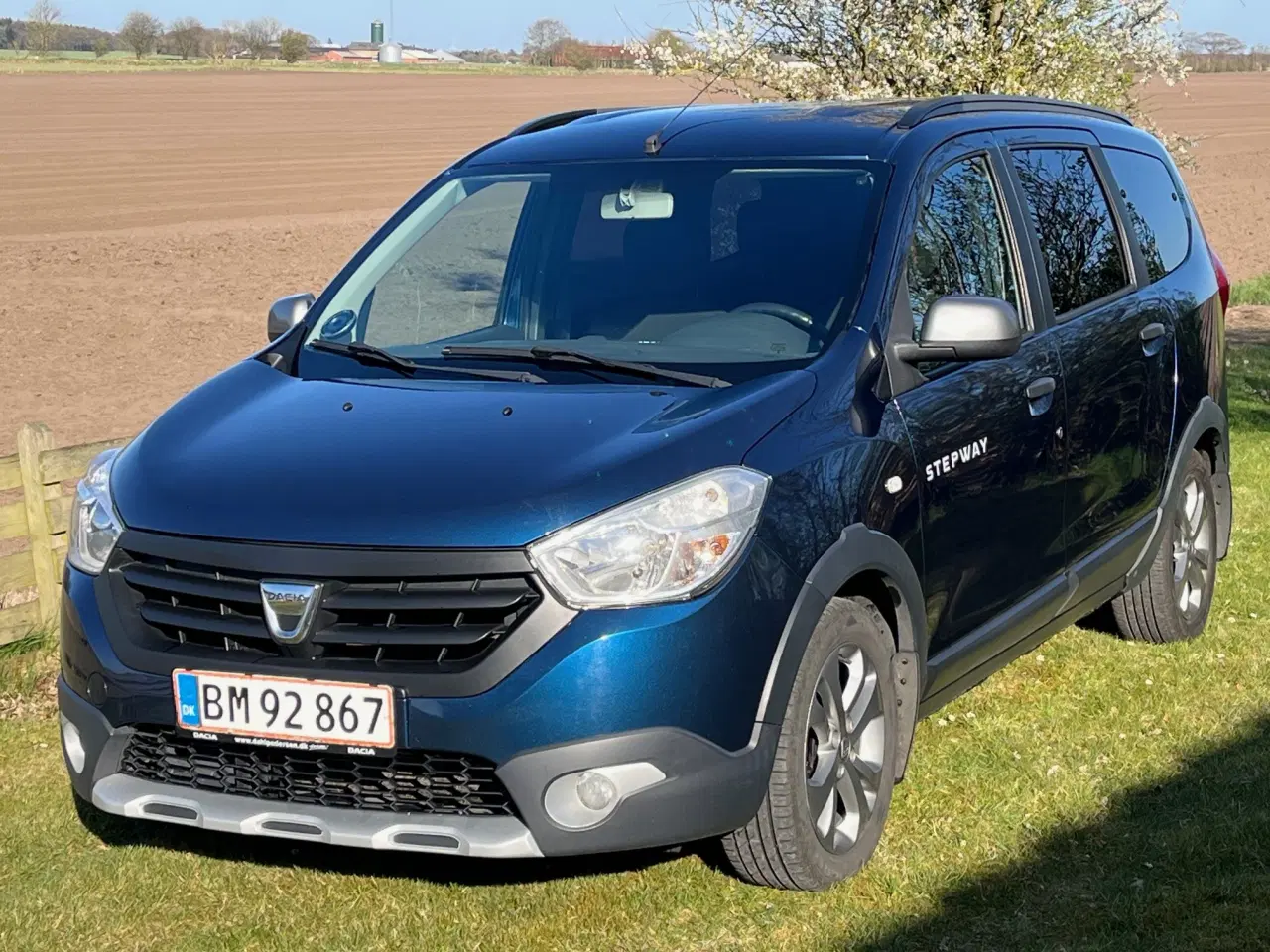 Billede 1 - Dacia Lodgy 1,5 Dci Stepway 7 sæder