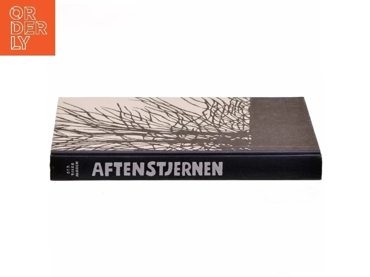 Billede 3 - Aftenstjernen af Dea Trier Mørch (Bog)