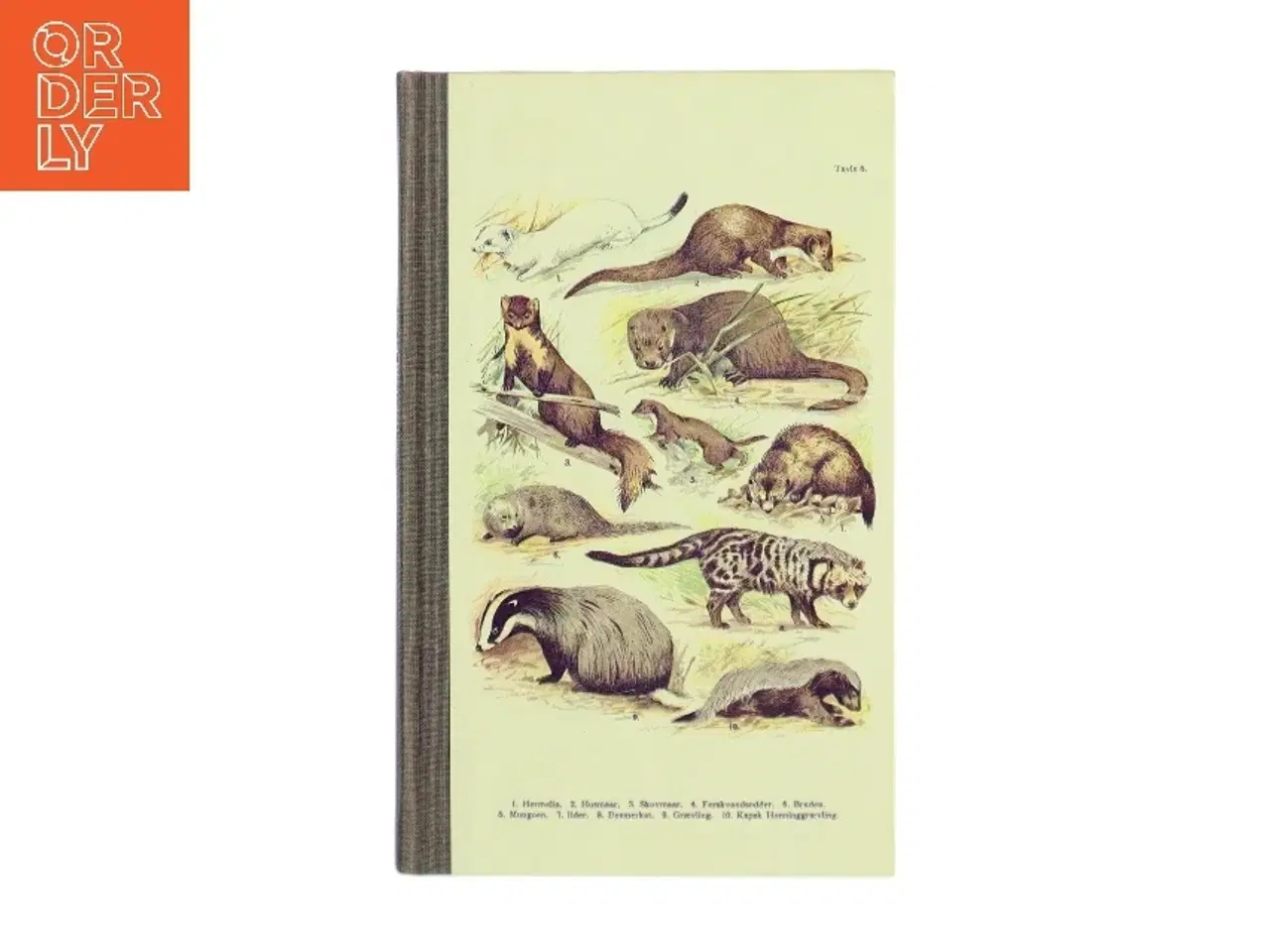 Billede 1 - Hermelinen af Jørgen Christian Hansen (Bog)