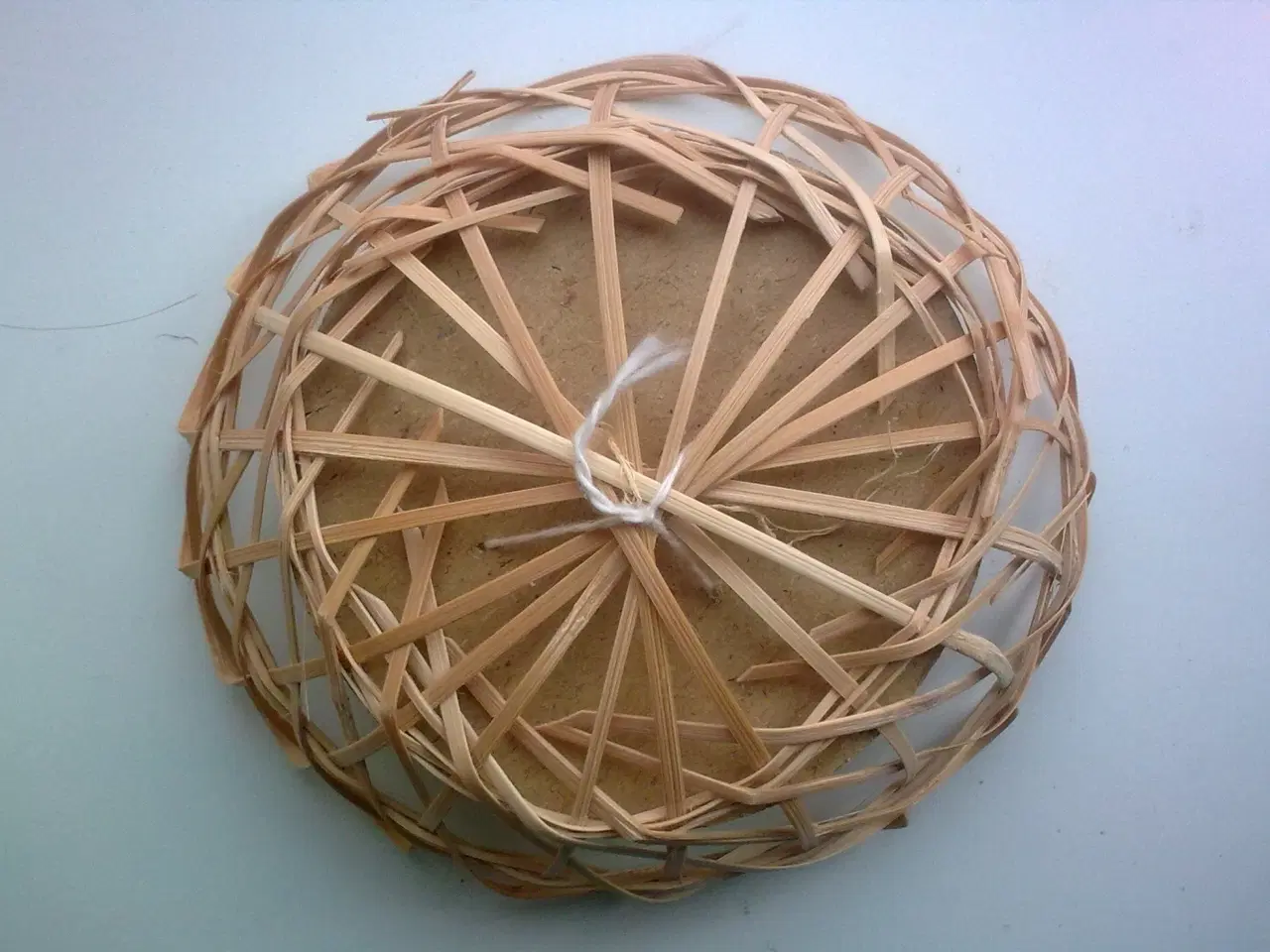 Billede 20 - Tulipan krukke & 12 uden kategori m ÆG nuancer