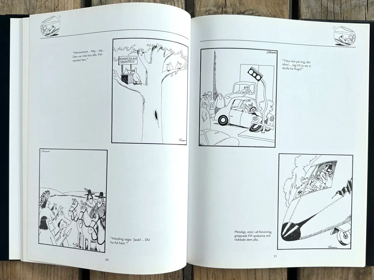 Billede 5 - På jakt efter den andra sidan – Gary Larson