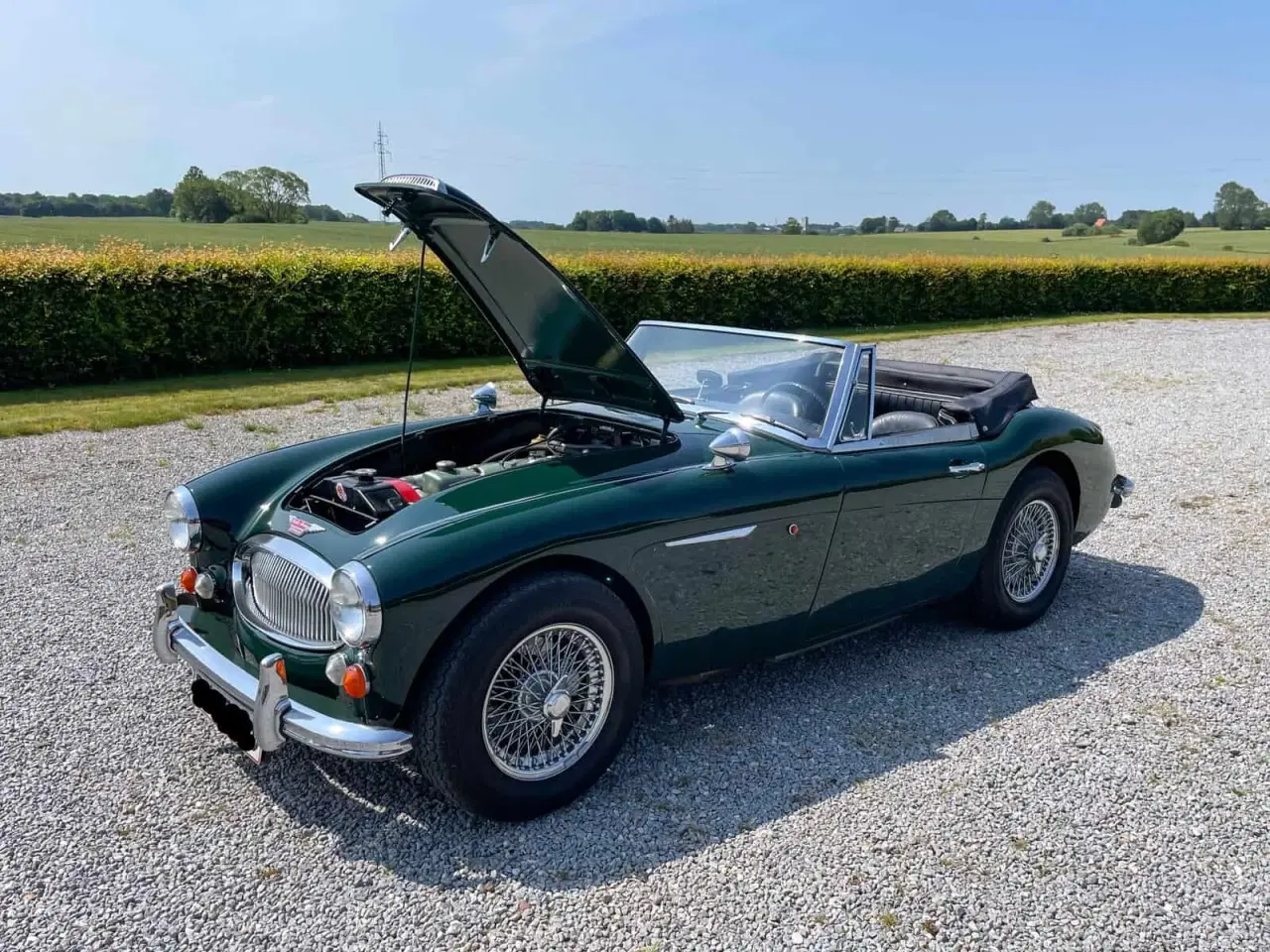 Billede 5 - Austin Healey 3000 BJ8 MK III årg 1966