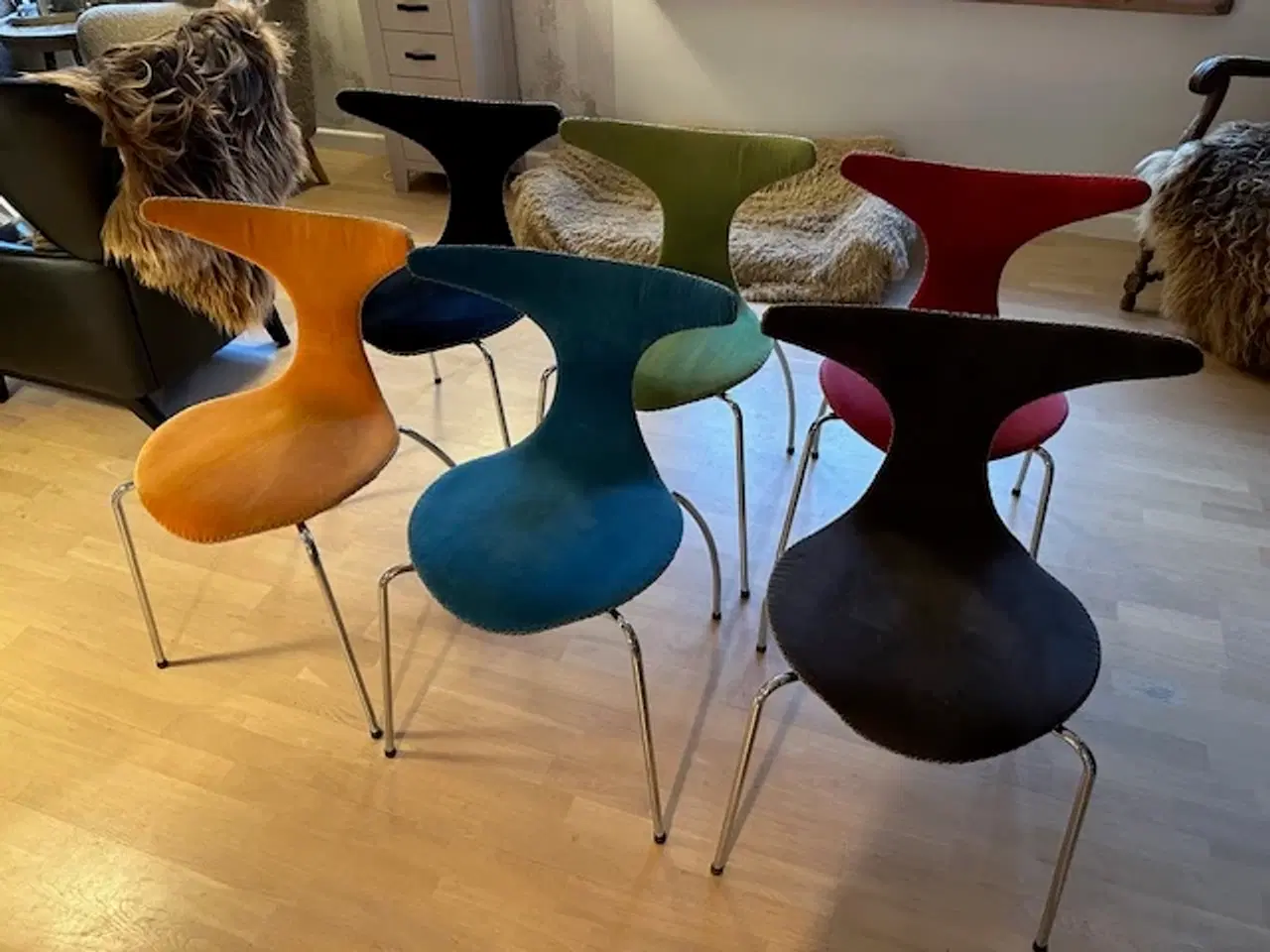 Billede 3 - Forskelligt Farvede Spisestuestole